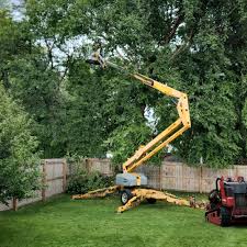 Best Tree Health Inspection  in Burkburnett, TX